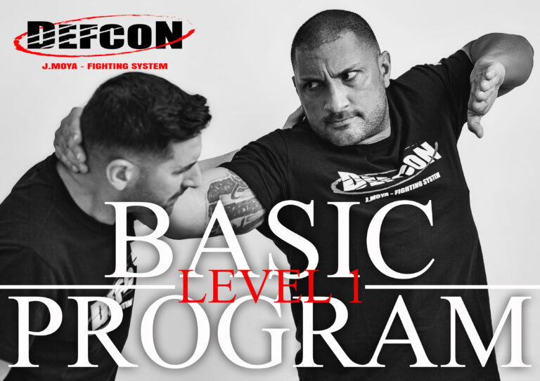 BASIC PROGRAM 1 DEFCON